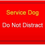Service Dog-Do not distract