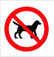 No dogs allowed sign