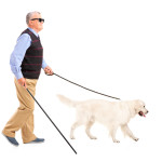 Blind man moving with walking stick and his dog
