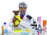 Crazy nerd scientist silly veterinary man with dog at lab
