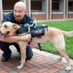 dog-harness invention