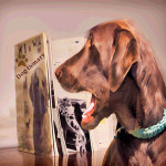 Dog examines the "dog-tionary"
Photo credit: Gloria Yarina