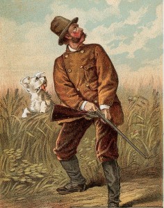 B-98-hunting dog - Crop