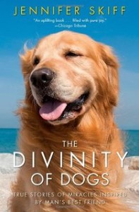 Divinity of Dogs