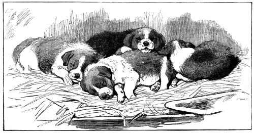 sleeping-puppies