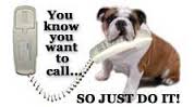 Dog at phone