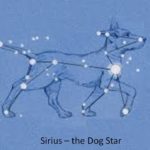 Dog Star