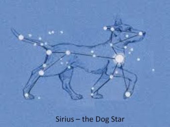 Dog Star