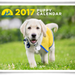 2017 Calendar