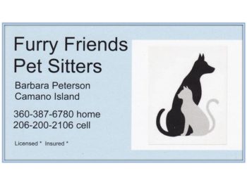 Furry Friends Pet Sitters