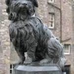 Greyfriars.Bobby (rev)