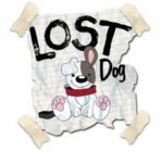 Lost Dog