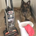 Dog with Cleaning Supplies