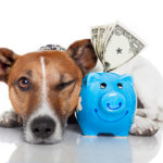 Dog with piggy bank , a dollar tie and glasses